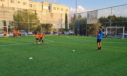 Οκκαρίδης: «Είμαστε περήφανοι για την κουλτούρα της Ακαδημίας μας» thumb